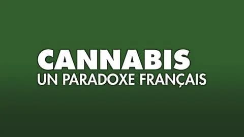 Cannabis, un paradoxe français