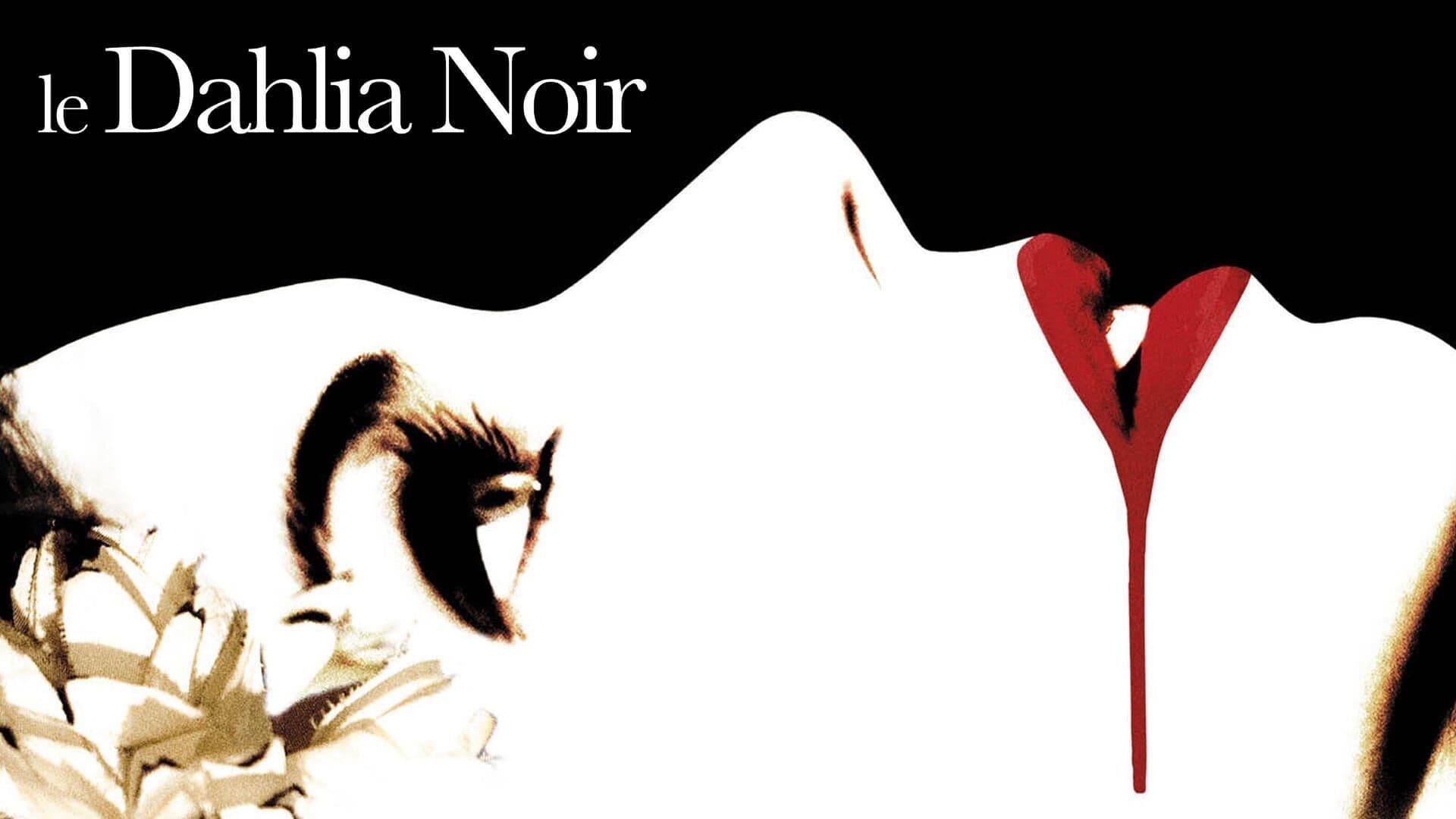 Le dahlia noir