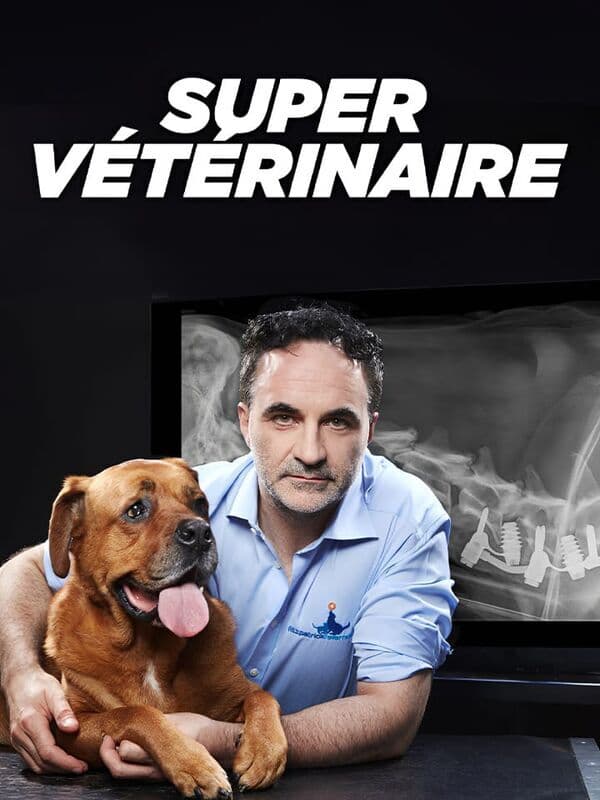 Super vétérinaire