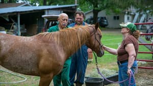 L'incroyable Dr Pol (Patients aux abois) S11 (2/22)