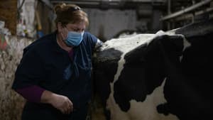 L'incroyable Dr Pol (A vos poils !) S11 (9/22)