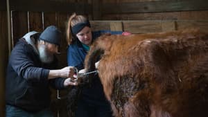 L'incroyable Dr Pol (Coup de froid) S9 (n°5)