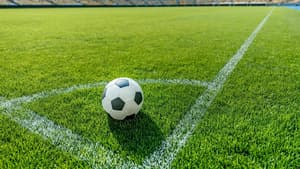 Bayern Munich / Union Berlin