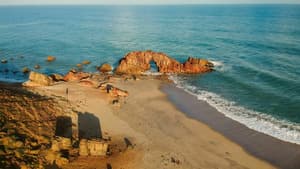 Nordeste, sauvage et spectaculaire, le paradis du Brésil