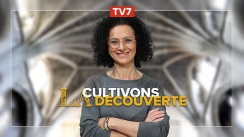 Cultivons la découverte