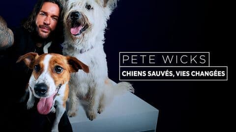 Pete Wicks : Pour l'amour des chiens !