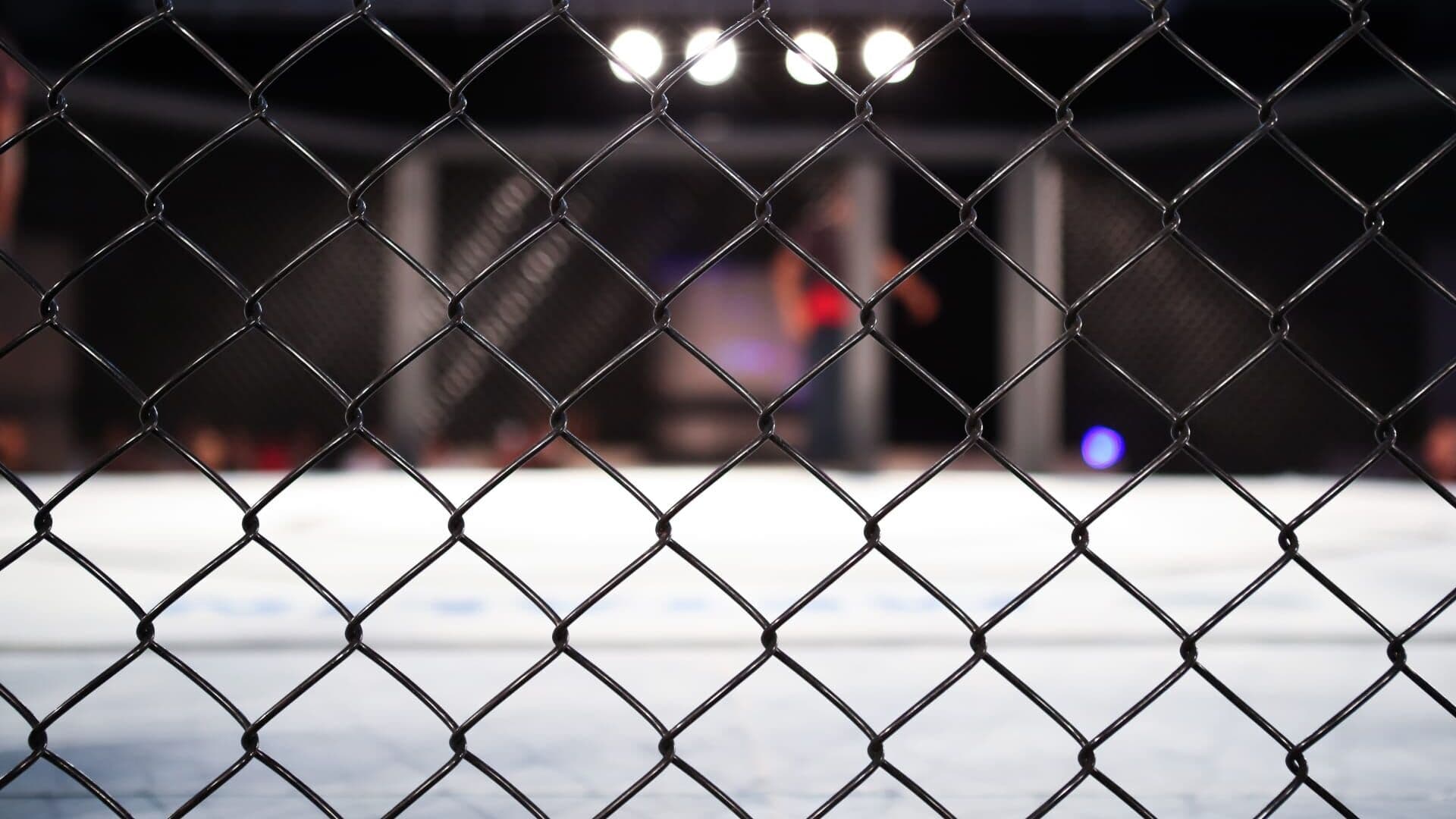 MMA : PFL Africa | Abdoulaye Kane / Badr Medkouri
