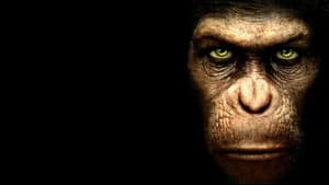 La planète des singes : les origines
