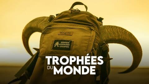 Trophées du monde