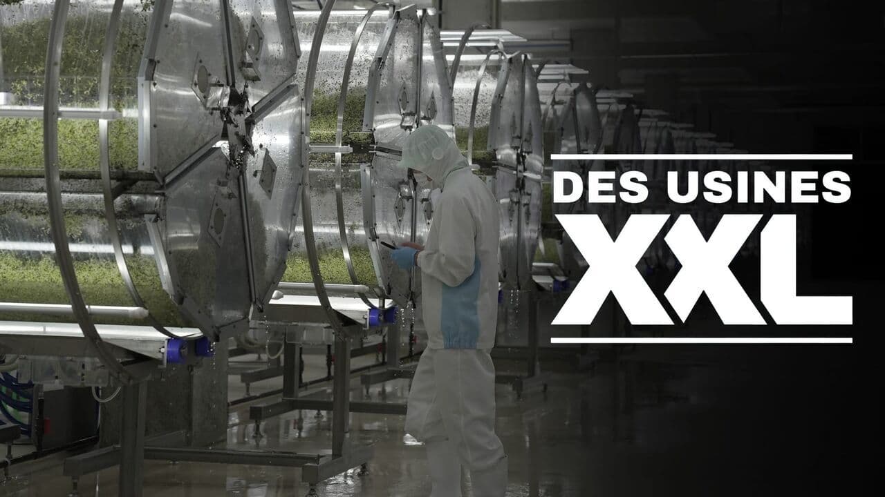 Des usines XXL