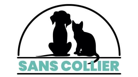 Chiens et chats sans collier