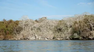 Koh-Lanta S29